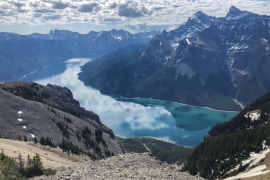 Tips for taking a better photo on your iPhone