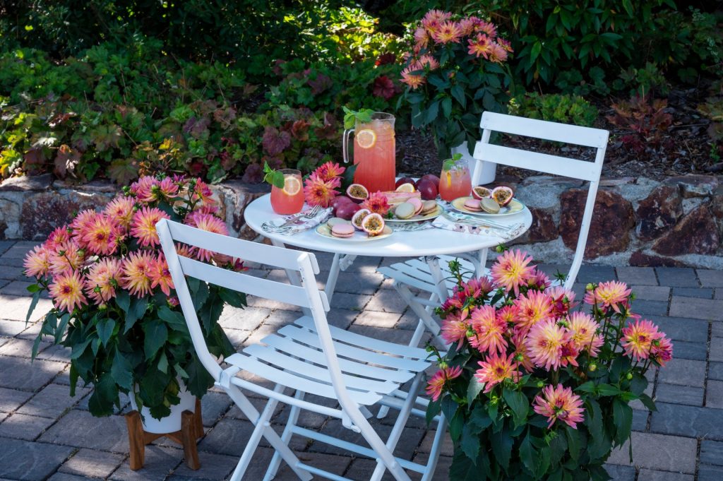 How to plant the perfect garden