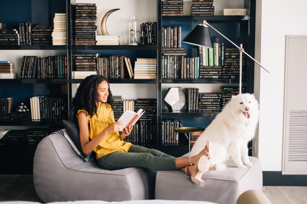 7 pet friendly hotels to visit in Canada